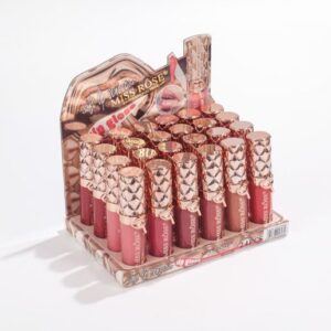 7701-547Z24 12 color moisturizing lip gloss ,24 pcs in display box